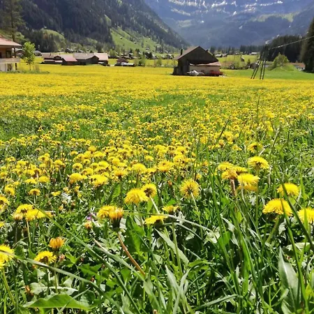 Kari's Schueuer By Interhome