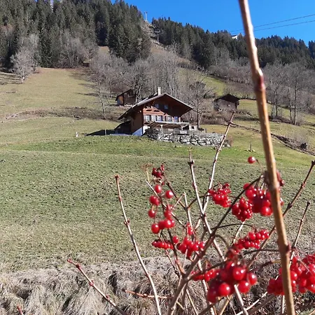 Kari's Schueuer By Interhome * Lenk