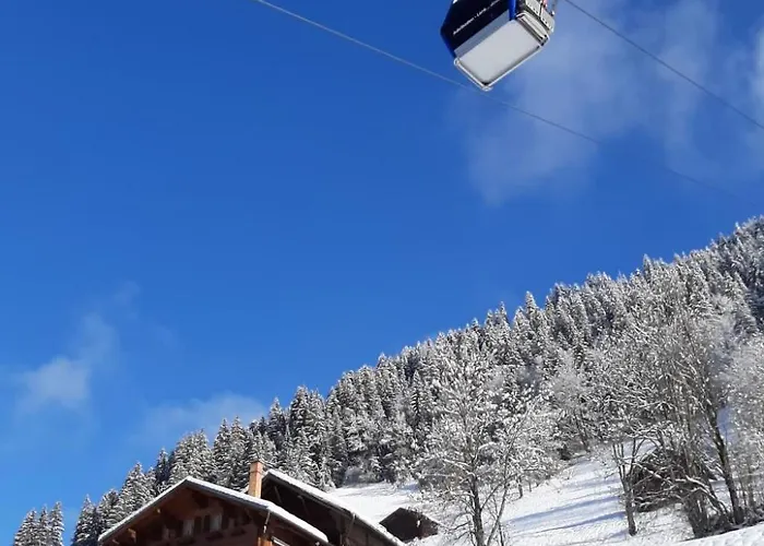 Apartment Kari's Schueuer By Interhome Lenk im Simmental