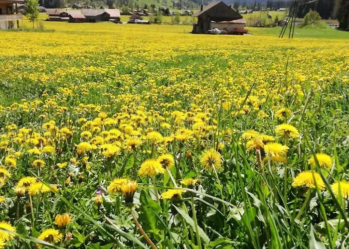 Kari's Schueuer By Interhome