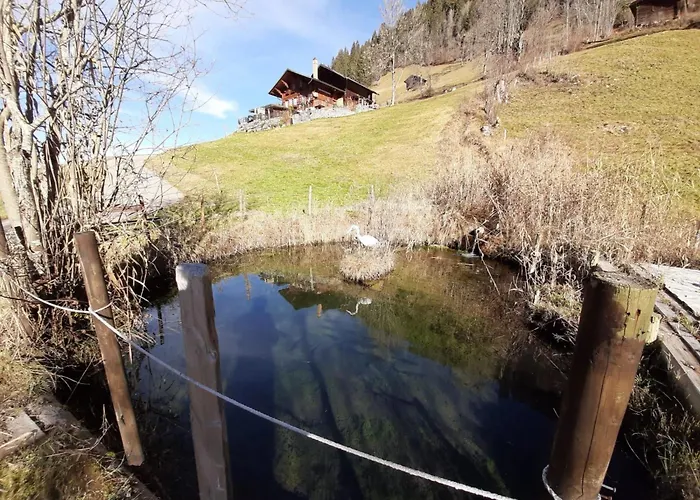 Apartment Kari's Schueuer By Interhome