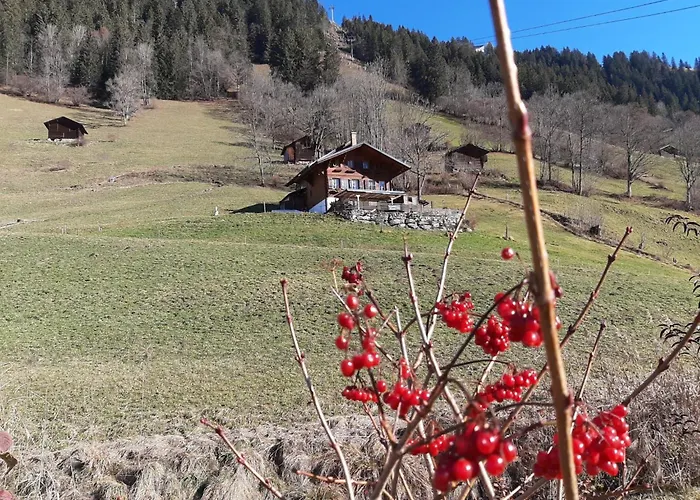 Kari's Schueuer By Interhome * Lenk