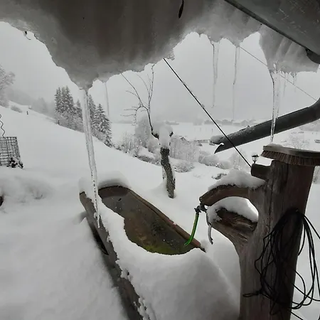 Apartmán Kari's Schueuer By Interhome